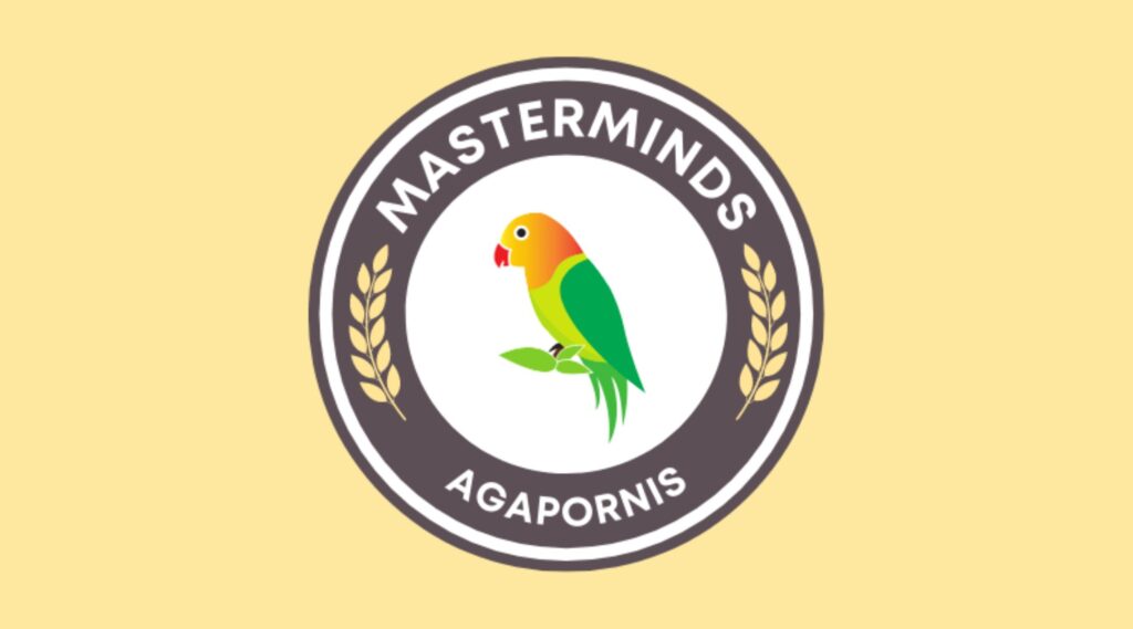 masterminds agapornis