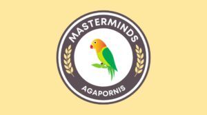 Mastermind Agapornis imagen portada