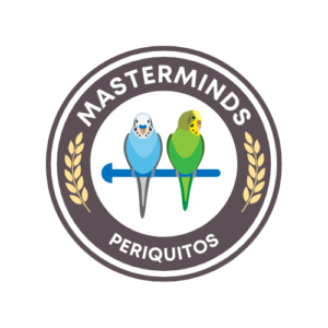 MASTERMIND periquitos