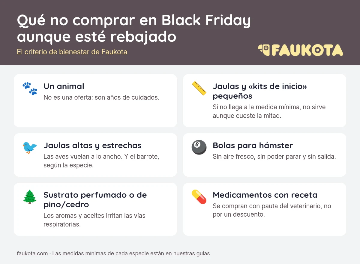 Infografía de Faukota con seis cosas que no conviene comprar en Black Friday aunque estén rebajadas: un animal, jaulas pequeñas, jaulas altas y estrechas para aves, bolas para hámster, sustrato perfumado o de pino y medicamentos con receta