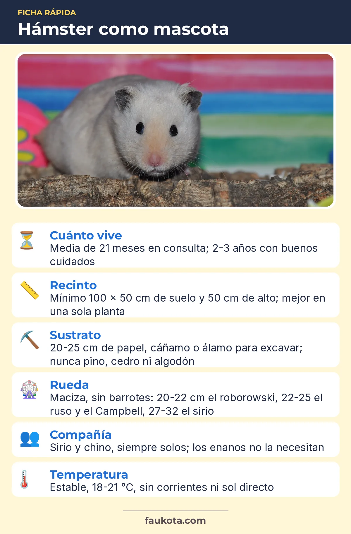 Infografía: ficha rápida del hámster como mascota con vida, recinto, sustrato, rueda, compañía y temperatura