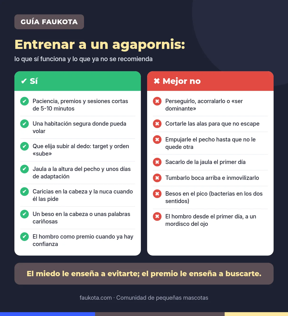 Tabla comparativa para entrenar a un agapornis: lo que sí funciona y lo que ya no se recomienda, como cortar las alas