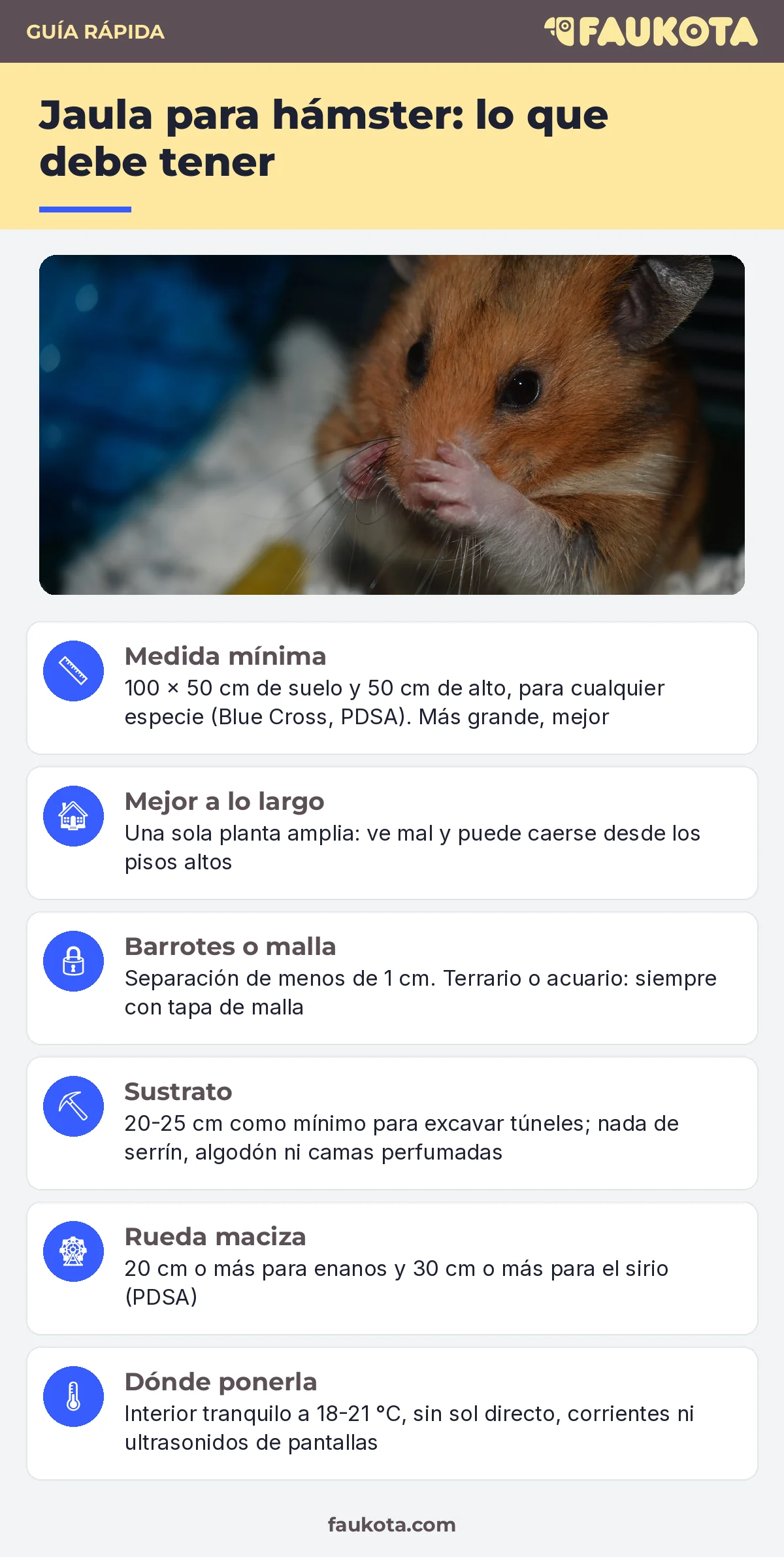 Infografía de la jaula para hámster: medida mínima, una sola planta, barrotes, sustrato, rueda maciza y dónde ponerla