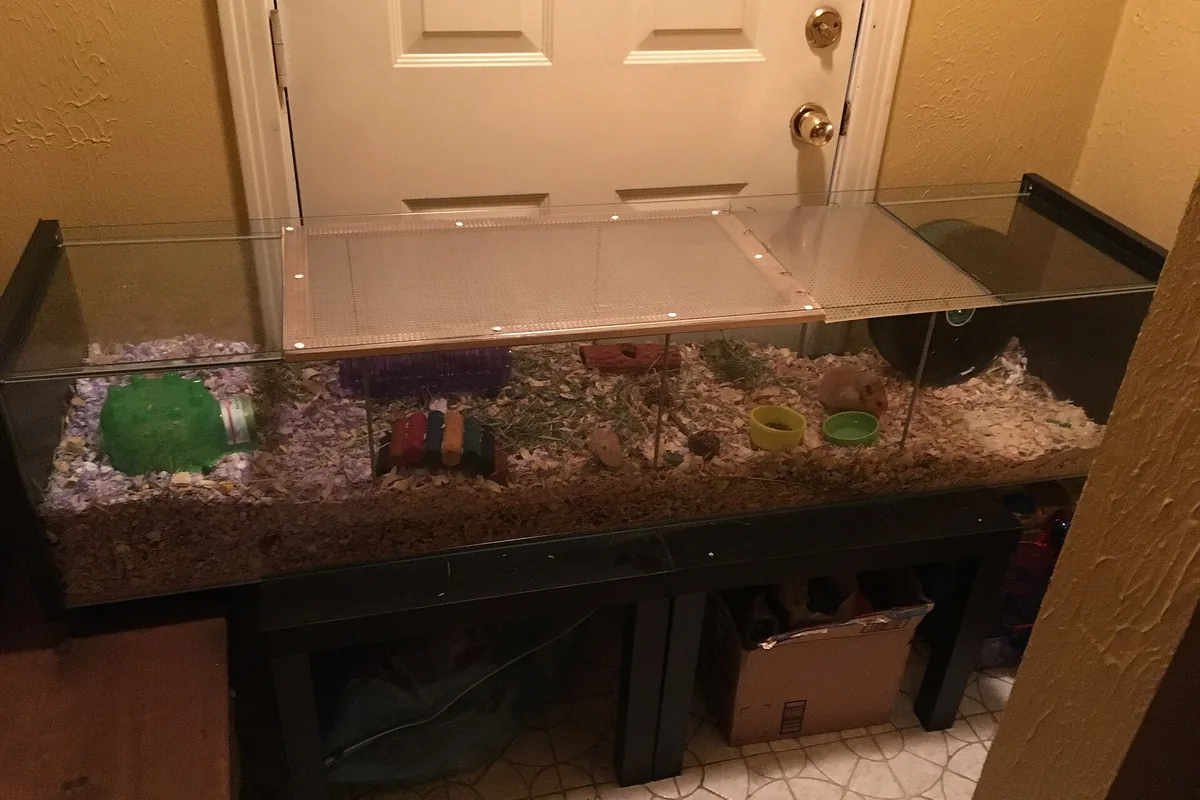 Terrario de cristal grande como jaula para hámster, con sustrato de papel, casitas de madera y rueda