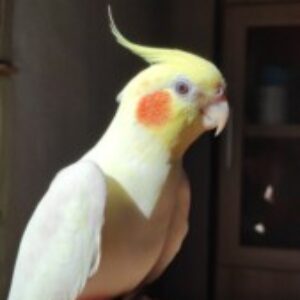 foto de perfil de Eduardo Vallés