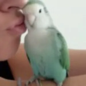 foto de perfil de Elena