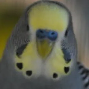 foto de perfil de Roberto