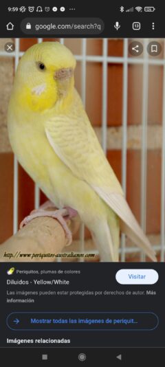 Screenshot_2022-07-09-09-59-25-890_com.android.chrome