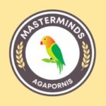 Logotipo de grupo de Mastermind Agapornis (Grupo Privado)